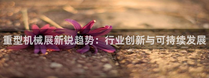 龙八国际娱乐网站多少