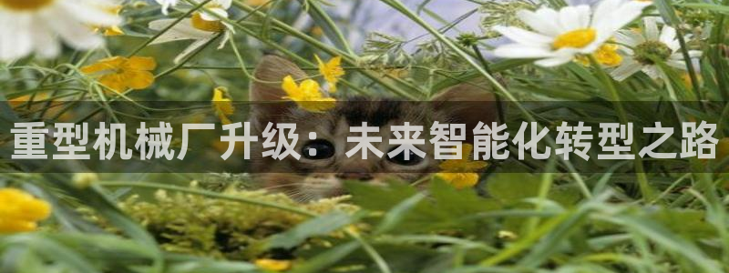 龙八国际娯乐城软件下载