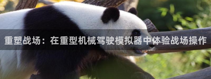 龙八国际app手机版下载安卓