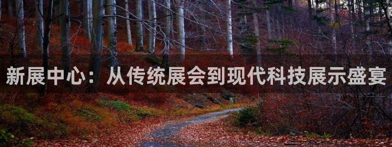 菲律宾龙八国际杀猪