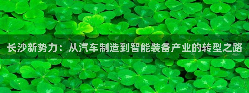 龙八国际服官网入口