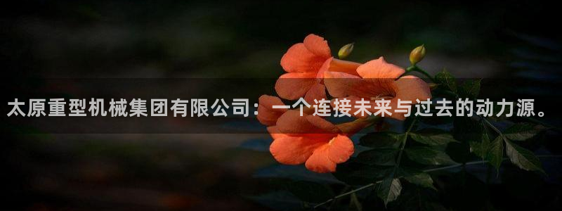 龙八国际pt娱乐
