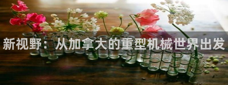 龙八国际客户端app