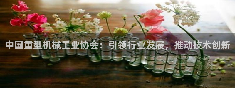 龙八国际娱乐dt 和老虎机
