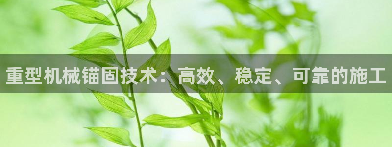 手机版龙八国际官网