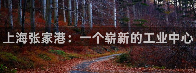 龙八国际娱乐 pt