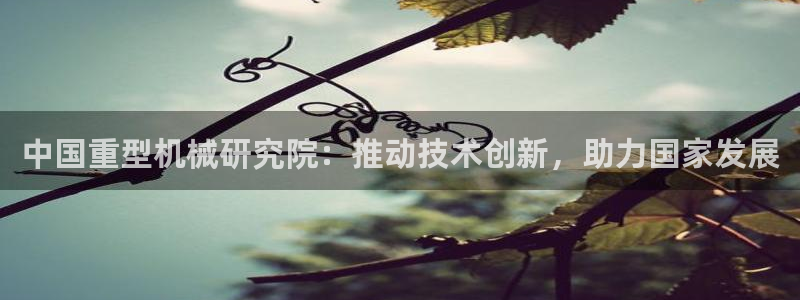 龙八国际网站手机版