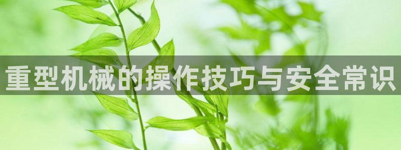 龙八国际兑换码
