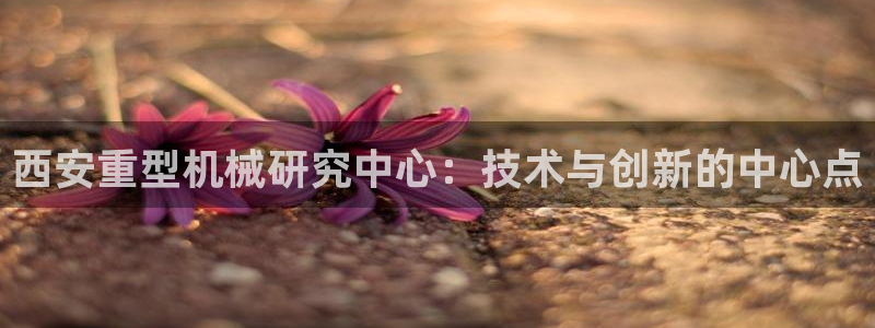 龙八国际不支持苹果手机