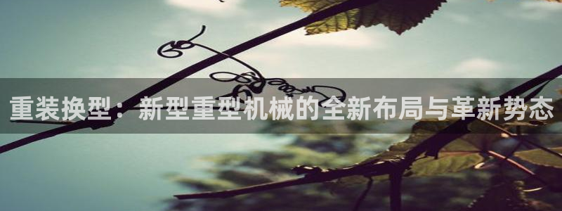下载龙八国际手机端