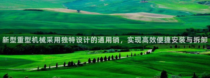 龙八国际害死多少人