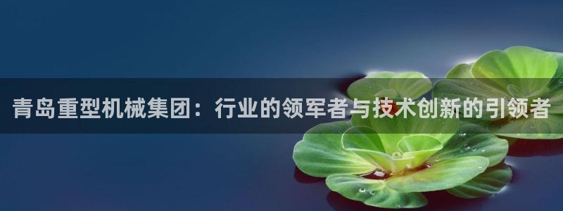 龙八国际服官网下载