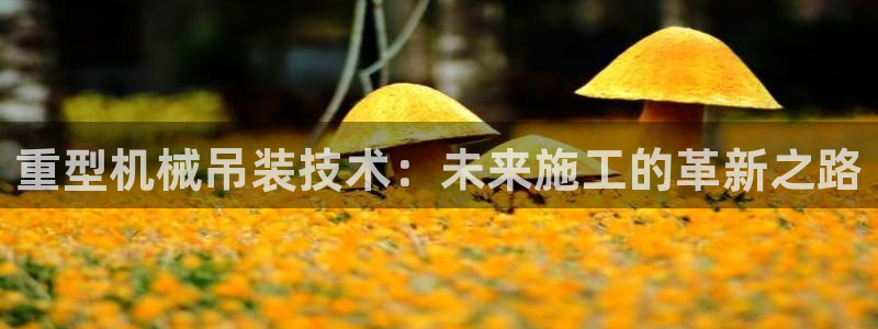 龙八国际下载安装彩