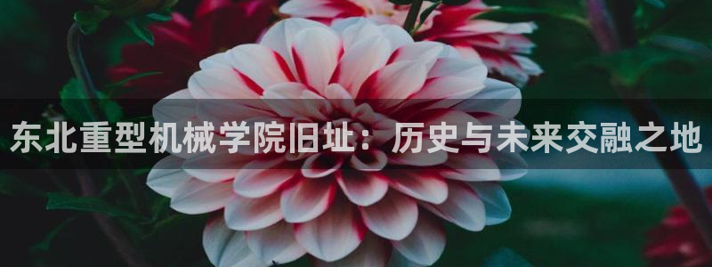 龙八国际娱乐官方
