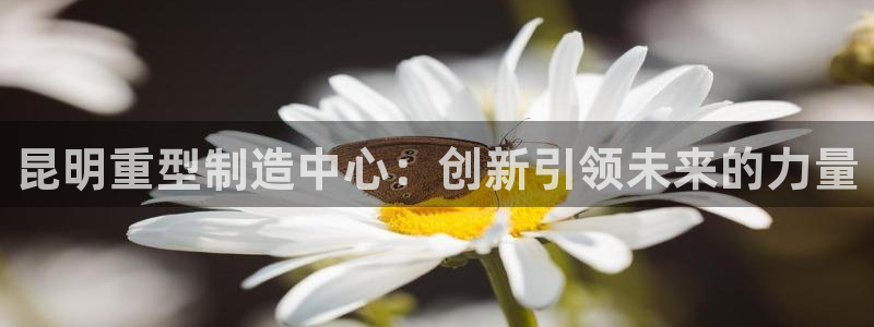 龙八国际2023