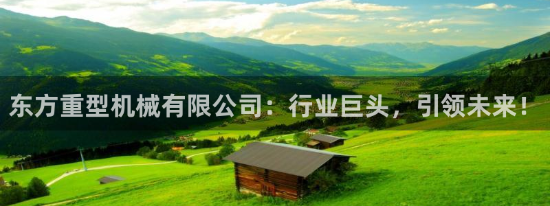 龙八国际long88