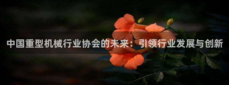 龙八国际服官网下载安卓
