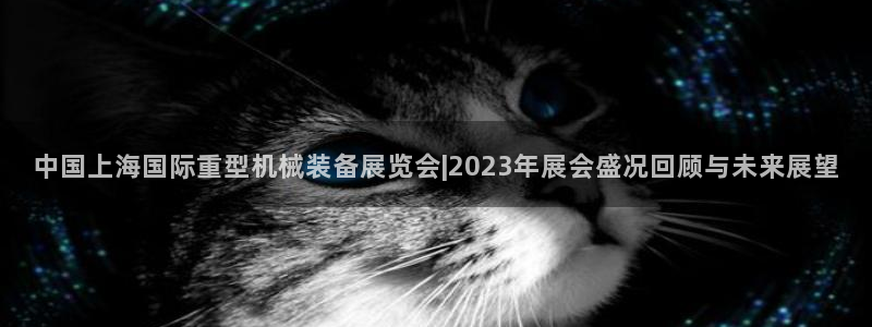龙八国际刘佳烨