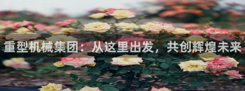 龙八国际app手机版下载苹果