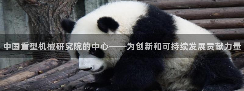 龙八国际害死多少人