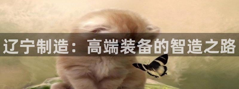龙八国际app官方下载手机端
