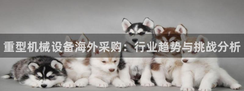 龙八国际游戏娱乐