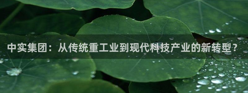 龙八国际app下载安装