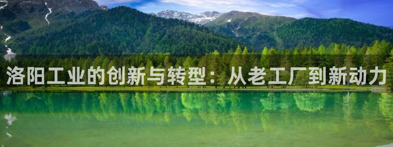龙八国际官首页