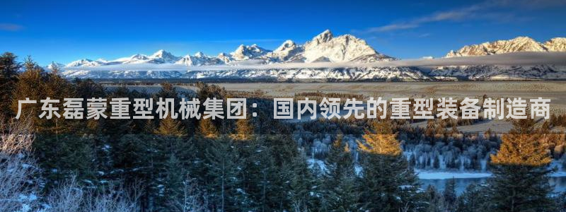 龙八国际网站手机版