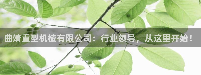 龙八国际平台手机版