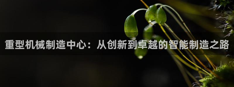 龙八国际股票