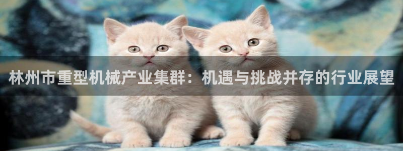 龙八国际pt老虎机官网