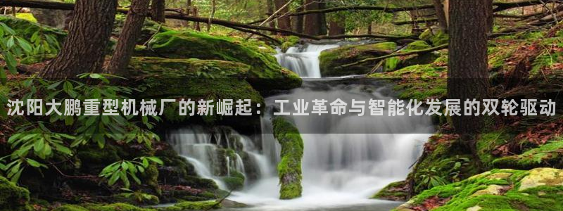 下载龙八国际官网