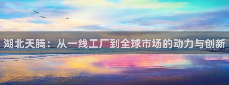 龙八国际娱乐官网首页