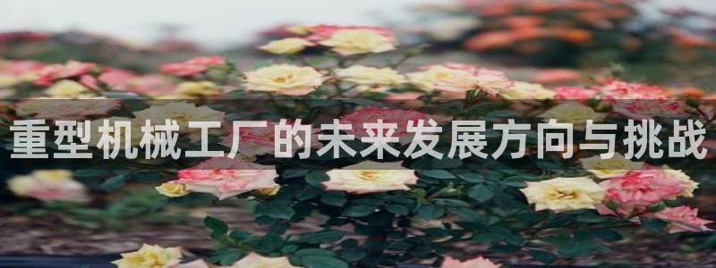 龙八国际头号玩家