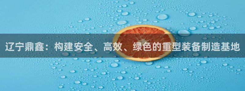 龙八国际网