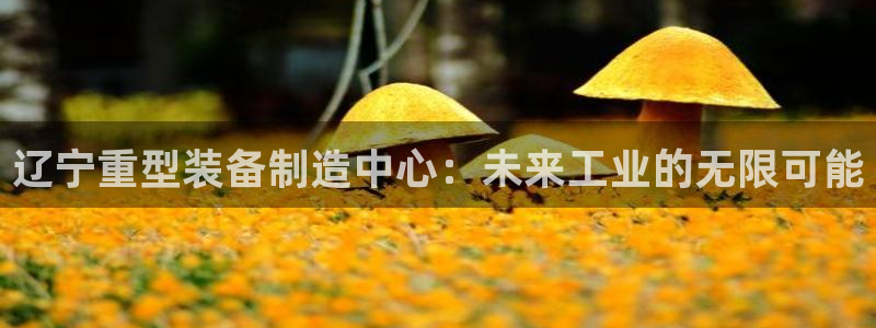 龙八国际头号玩家是谁啊