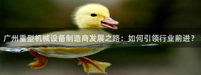龙八国际平台手机版