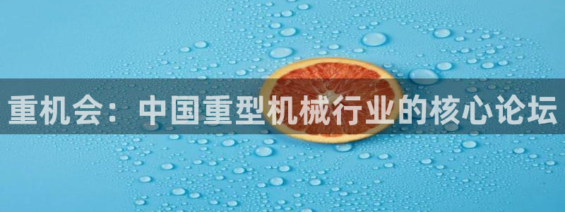 龙八国际官网网站