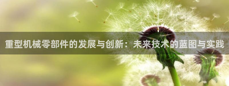 龙八国际视频入口