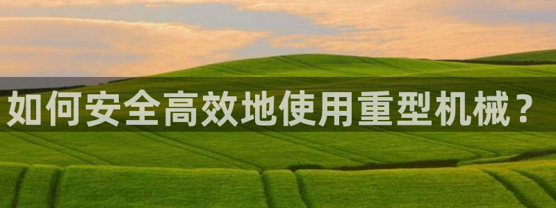 龙八国际zbzszx.com