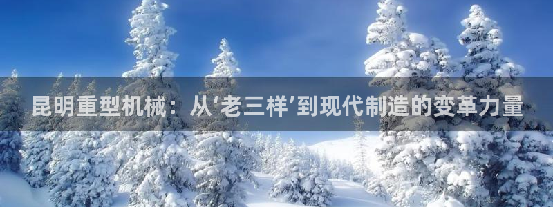 龙八国际娯乐城