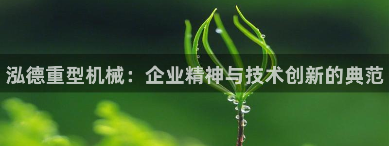 龙八国际网店客服电话