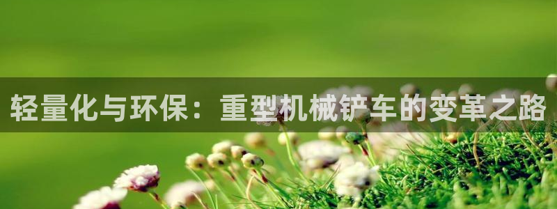 龙八国际app是什么
