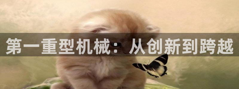龙八国际娱乐官方
