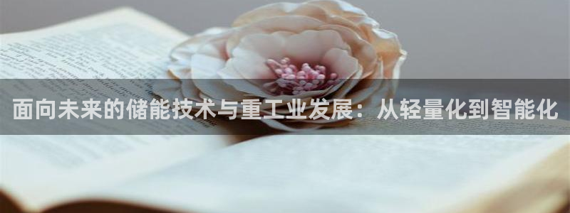 龙八国际apPP