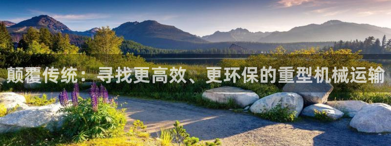 龙八国际网页