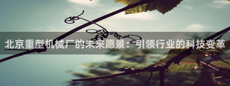 龙八国际下载链接一