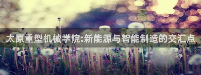 龙八国际官网手机版登陆