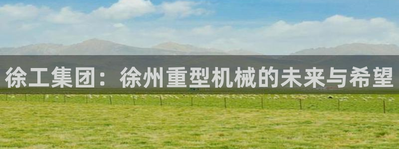 冯文戈 龙八国际集团